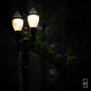 Street lights in downtown Portland